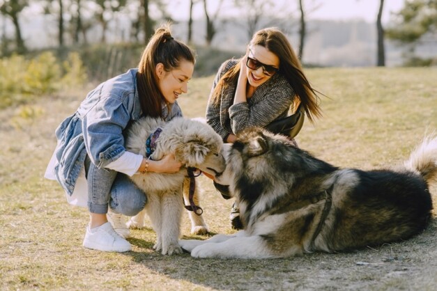 cani che fanno amicizia con le loro padroncine